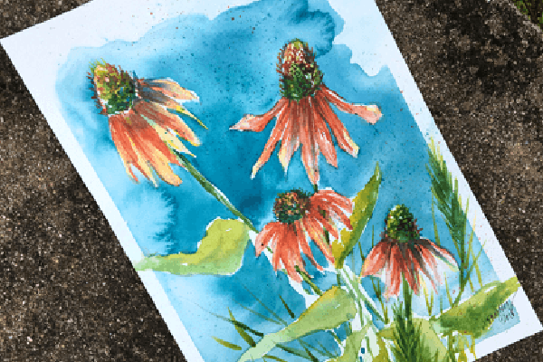 Free Hahnemühle Cézanne Watercolor Paper | FreebieRush