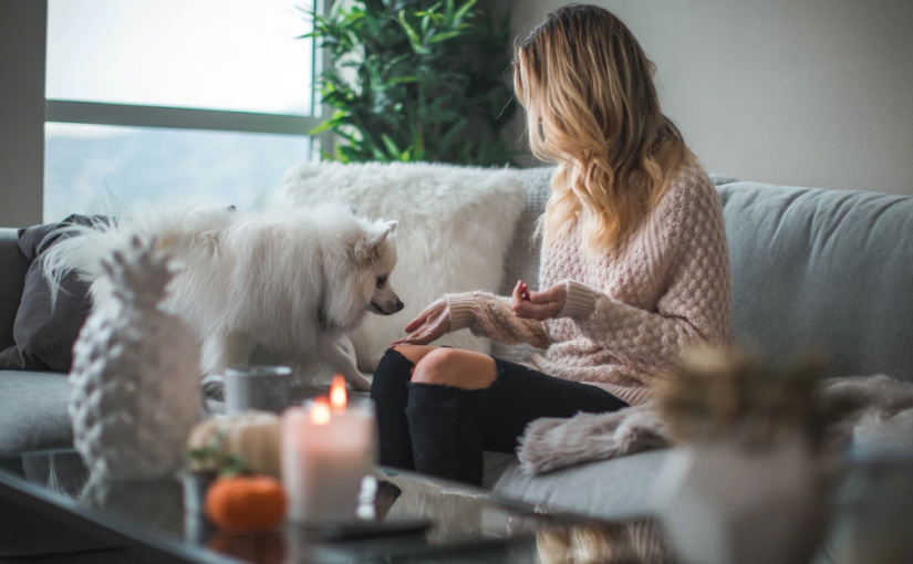 5 Ways to Live Rent Free
