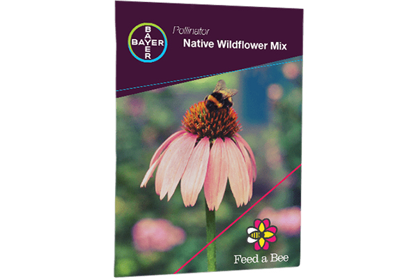 Free Plant Wildflower Seeds