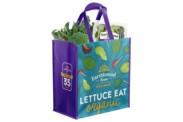 Free Earthbound Shopping Bag