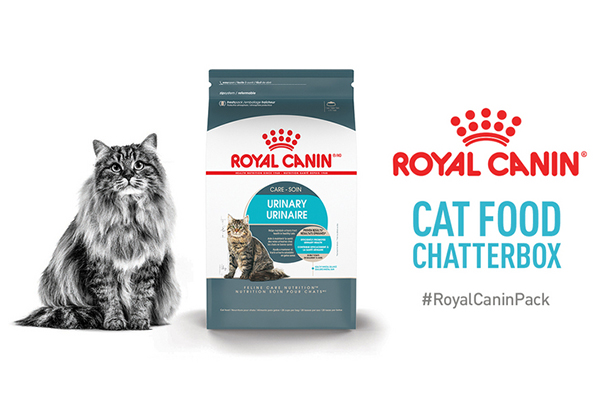 Free ROYAL CANIN® Cat Food