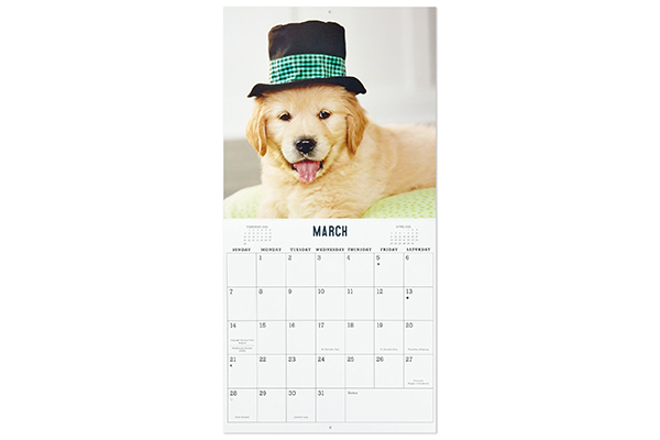 Free 2021 Dogs of RISE Calendar