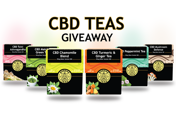 Free Budda CBD Tea