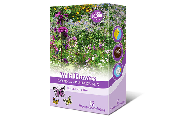 Free AirWick Wildflower Seeds