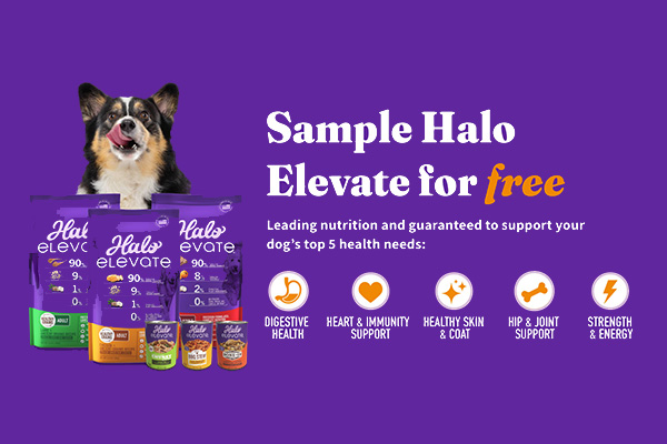 Free Halo Dog Food