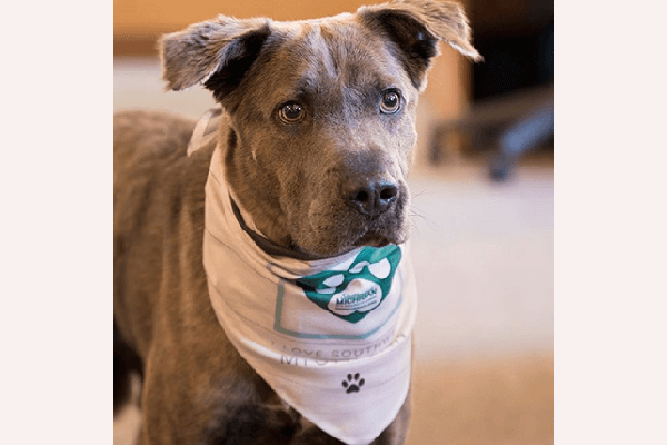 Free Doggie Bandana