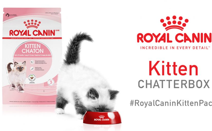 Free Royal Canin® Cat Food