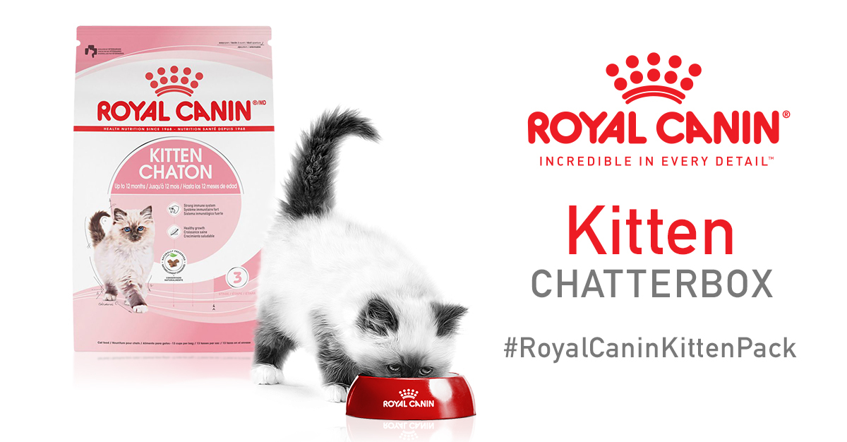 Free Royal Canin® Cat Food | FreebieRush