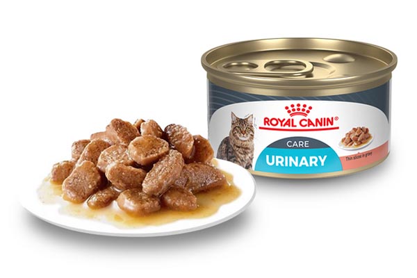 Free Royal Canin® Cat Food