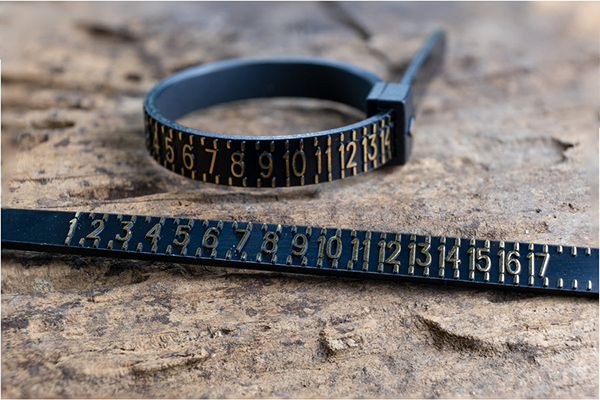 Free Ring Sizer