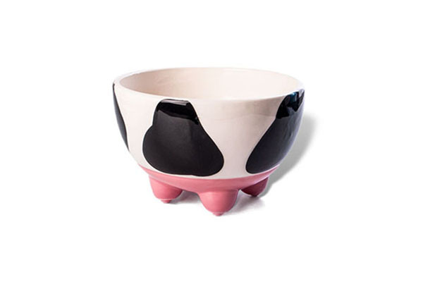 Free Ben & Jerry’s Bowl
