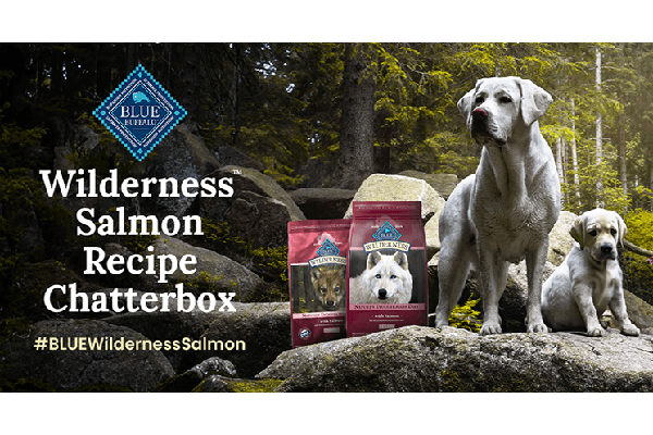 Free Blue Buffalo Wilderness Salmon