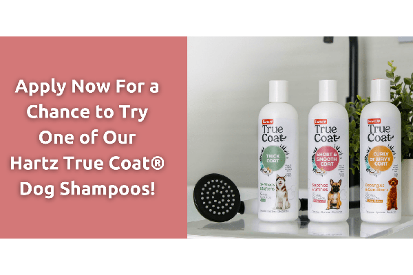 Free Hartz Dog Shampoo