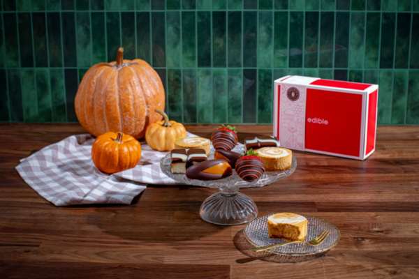 Free Pumpkin Cheesecake at Edible