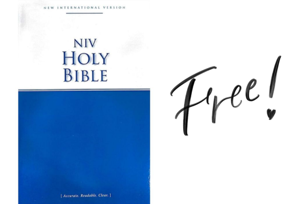 Free Holy Bible NIV + FREE Shipping