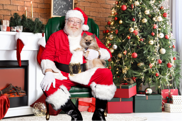 Free Pet Photo with Santa – Capture the Holiday Magic! 🎅